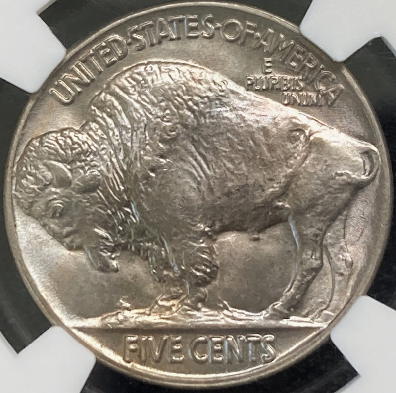 GTG-You-Vs.-NGC-1925-Buffalo-Nickel